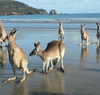 Seaforth Holiday Units - Kempsey Accommodation