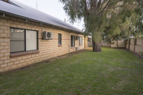 Seagull - Kempsey Accommodation 2