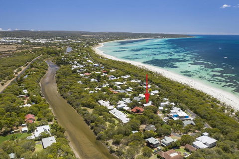 Seagull - Kempsey Accommodation 1