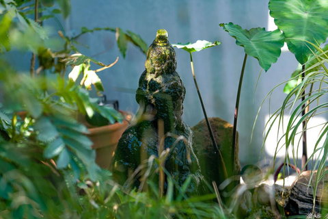 Serenity Guest House - Kempsey Accommodation 3