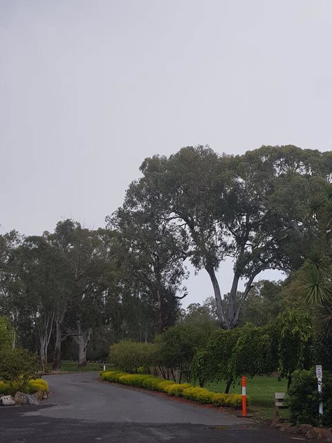 Seymour Motel - Kempsey Accommodation 3