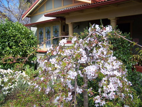 Shelton-Lea Bed & Breakfast - Kempsey Accommodation 0