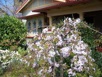 Book Katoomba Accommodation Vacations Kempsey Accommodation Kempsey Accommodation