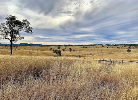 Skyline Farm House - Kempsey Accommodation 3