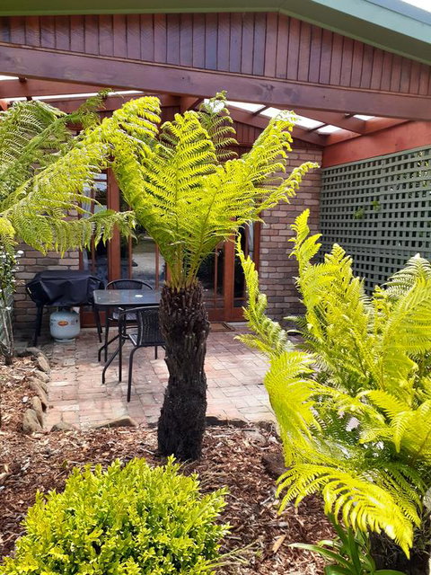 Sleepy Hollow Hideout (Hidout 2) - Kempsey Accommodation 1