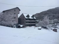 Book Falls Creek Accommodation Vacations Kempsey Accommodation Kempsey Accommodation