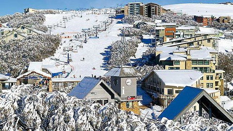 Snowflake 4 - Kempsey Accommodation 1