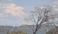 Book Mount Buller Accommodation Vacations Kempsey Accommodation Kempsey Accommodation