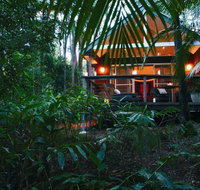 Songbirds Rainforest Retreat - Kempsey Accommodation