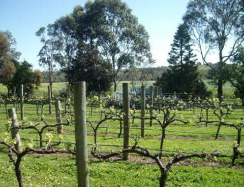 Southern Vales Bed & Breakfast - Kempsey Accommodation 1