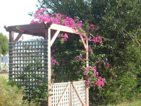 Southern Vales Bed & Breakfast - Kempsey Accommodation 3