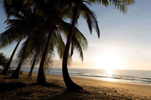 Spice At Oak Award Winning Luxury Absolute Oceanfront House Oak Beach Near Port Douglas - Kempsey Accommodation 1