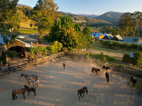 Spring Spur - Kempsey Accommodation 0