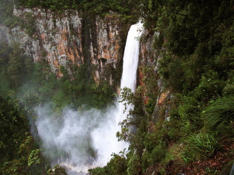 Springbrook Lyrebird Retreat - Kempsey Accommodation 2