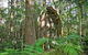 Springbrook Mountain Chalets - thumb 0
