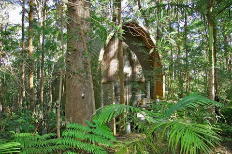 Springbrook Mountain Chalets - Kempsey Accommodation 0