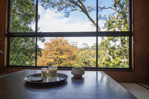 Springbrook25 Upper Apartment - Kempsey Accommodation 0