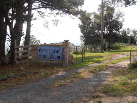 Springmead B&B - Kempsey Accommodation 2