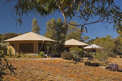 Squeakywindmill Boutique Tent B&B - Kempsey Accommodation 0