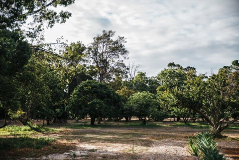 Standing Stone House - Kempsey Accommodation 3