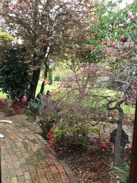 Stony Rise Cottage B&B - Kempsey Accommodation 1