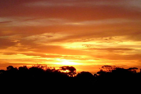 Sunsets, Sea, Wine - Kempsey Accommodation 3