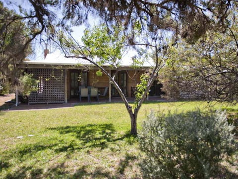 Tea Tree - Kempsey Accommodation 1