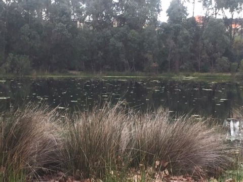 Telperon (2 Rooms, 3-4 Guests) - Kempsey Accommodation 2