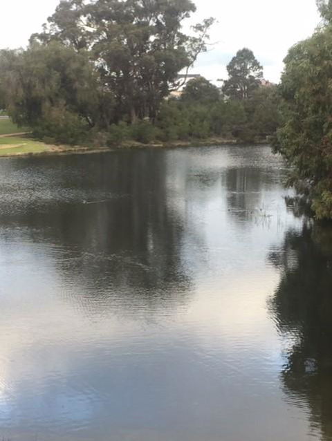 Telperon (2 Rooms, 3-4 Guests) - Kempsey Accommodation 3
