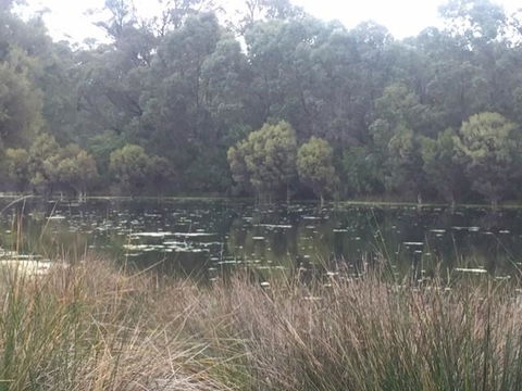 Telperon (2 Rooms, 3-4 Guests) - Kempsey Accommodation 1