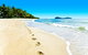 Temple 121 Modern Spacious Palm Cove 2 Brm 2 Bth Resort Apartment With Courtyard - thumb 0