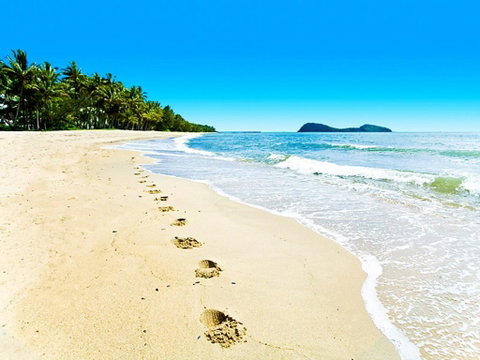 Temple 121 Modern Spacious Palm Cove 2 Brm 2 Bth Resort Apartment With Courtyard - Kempsey Accommodation 0