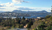 The Lookout