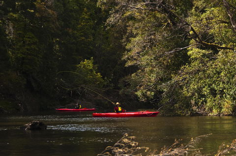 Corinna Wilderness Village - Kempsey Accommodation 38