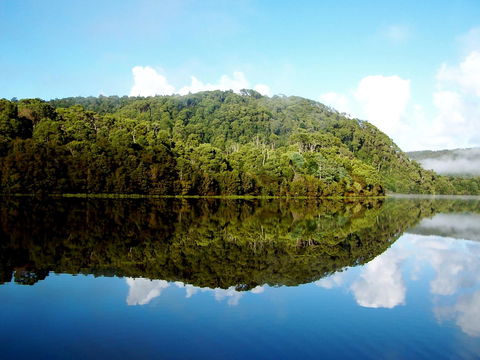 Corinna Wilderness Village - Kempsey Accommodation 36