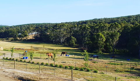 Lockleigh Park - Kempsey Accommodation 19