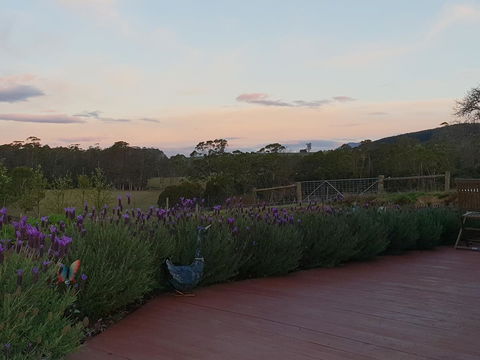 Lockleigh Park - Kempsey Accommodation 23