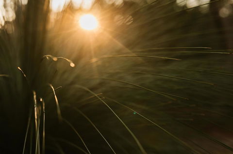 Bay Of Fires Bush Retreat - Kempsey Accommodation 26