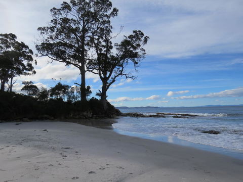 Captain Cook Holiday Park - Kempsey Accommodation 9