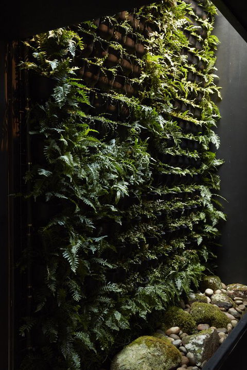 Moss Hotel - Kempsey Accommodation 2