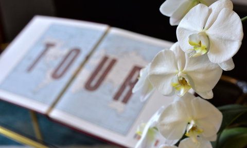 Lotus Gogh Apartment - Kempsey Accommodation 6