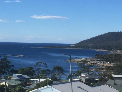 Bicheno Bell - Kempsey Accommodation 0