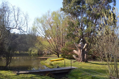 Whispering Spirit Holiday Cottages & Mini Ponies - Kempsey Accommodation 12