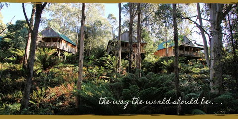 Lemonthyme Wilderness Retreat - Kempsey Accommodation 20