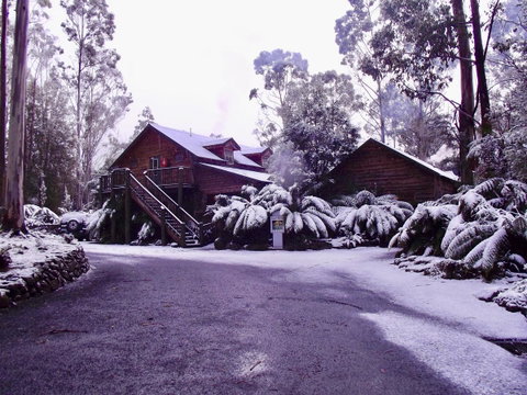 Lemonthyme Wilderness Retreat - Kempsey Accommodation 12