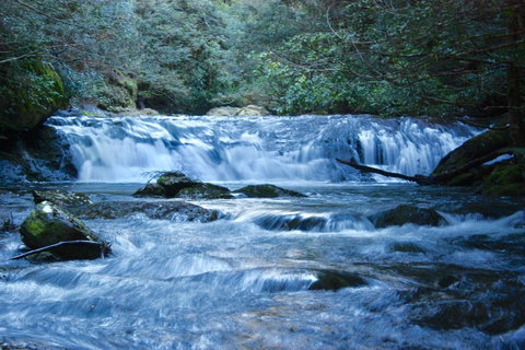 Lemonthyme Wilderness Retreat - Kempsey Accommodation 10