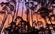 Lemonthyme Wilderness Retreat - thumb 8