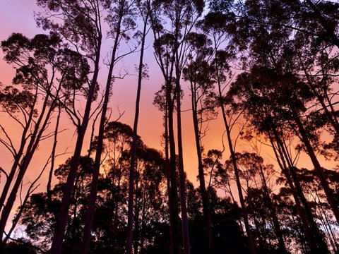 Lemonthyme Wilderness Retreat - Kempsey Accommodation 8