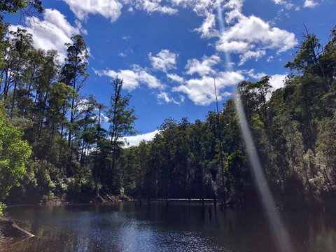 Lemonthyme Wilderness Retreat - Kempsey Accommodation 7