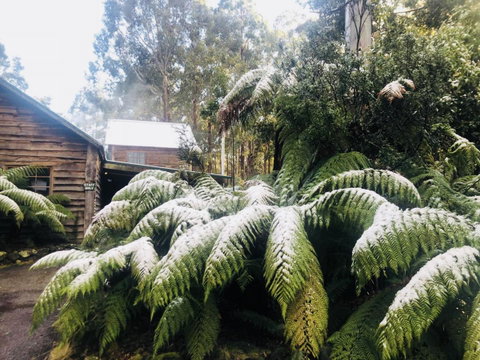 Lemonthyme Wilderness Retreat - Kempsey Accommodation 5